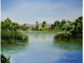 Canneto lungo il Sile